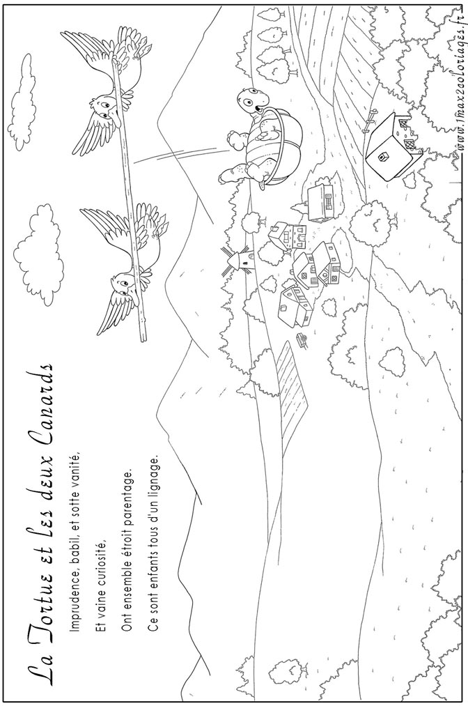 La Tortue et les deux Canards