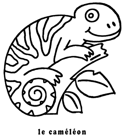 coloriage le caméléon mon premier imagier