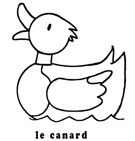 coloriage le canard mon premier imagier