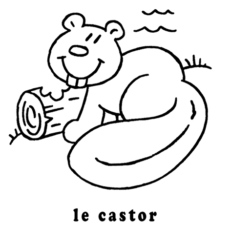 coloriage le castor mon premier imagier