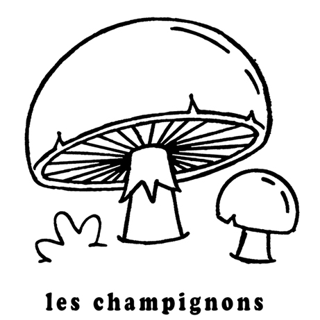 coloriage les champignons mon premier imagier