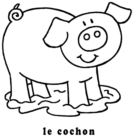 coloriage le cochon mon premier imagier