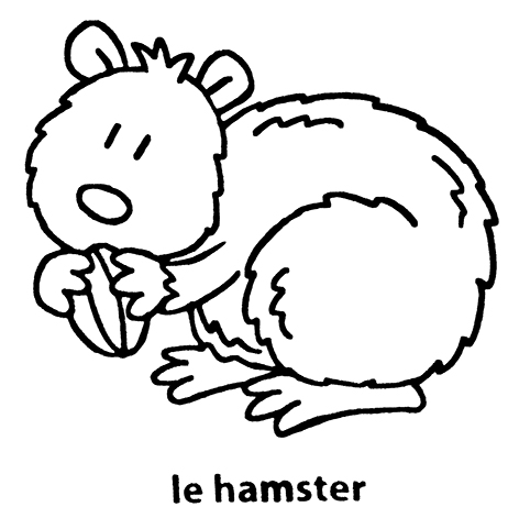 coloriage l'hamster mon premier imagier