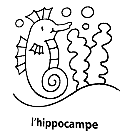 coloriage l'hippocampe mon premier imagier
