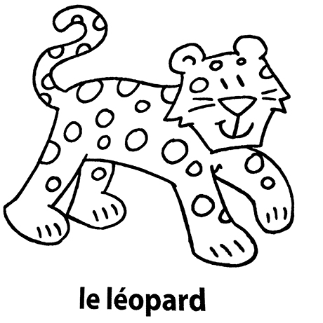 coloriage le léopard mon premier imagier
