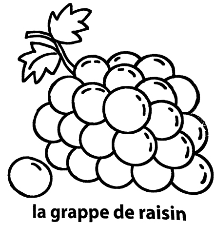 coloriage le raisin mon premier imagier
