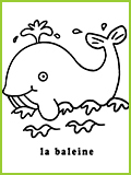 mon premier imagier la baleine