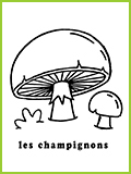 mon premier imagier les champigons