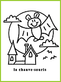 mon premier imagier la chauve-souris