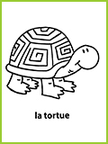 mon premier imagier la tortue