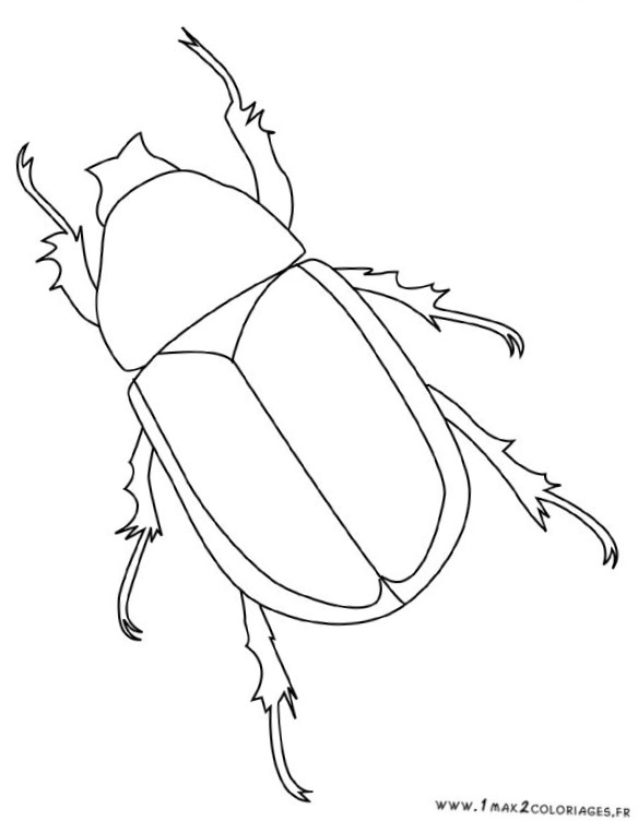 clipart insectes rigolos - photo #46