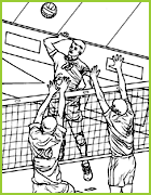 coloriage jeux olympiques - volley-ball