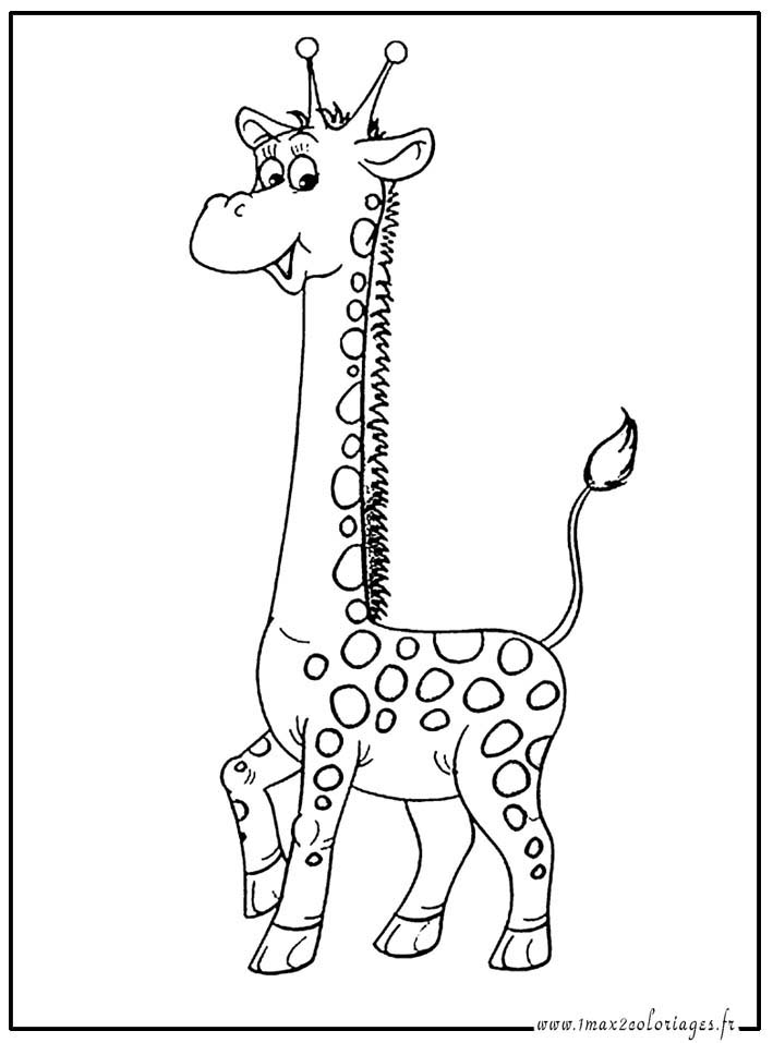 coloriages La girafe : la grande Spohie