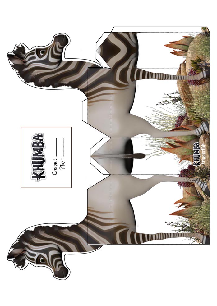 coloriage khumba jeune zebre
