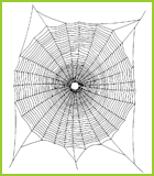 Mandala en toile d'araignée