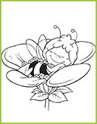 coloriage maya l'abeille