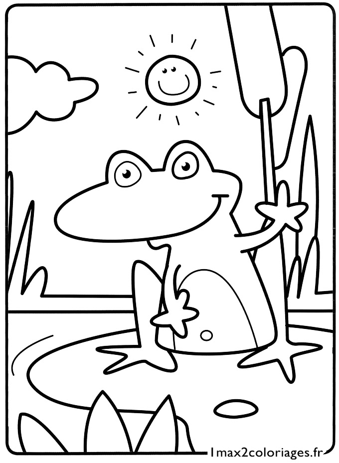 coloriage Une petite grenouille au bord de l'étang