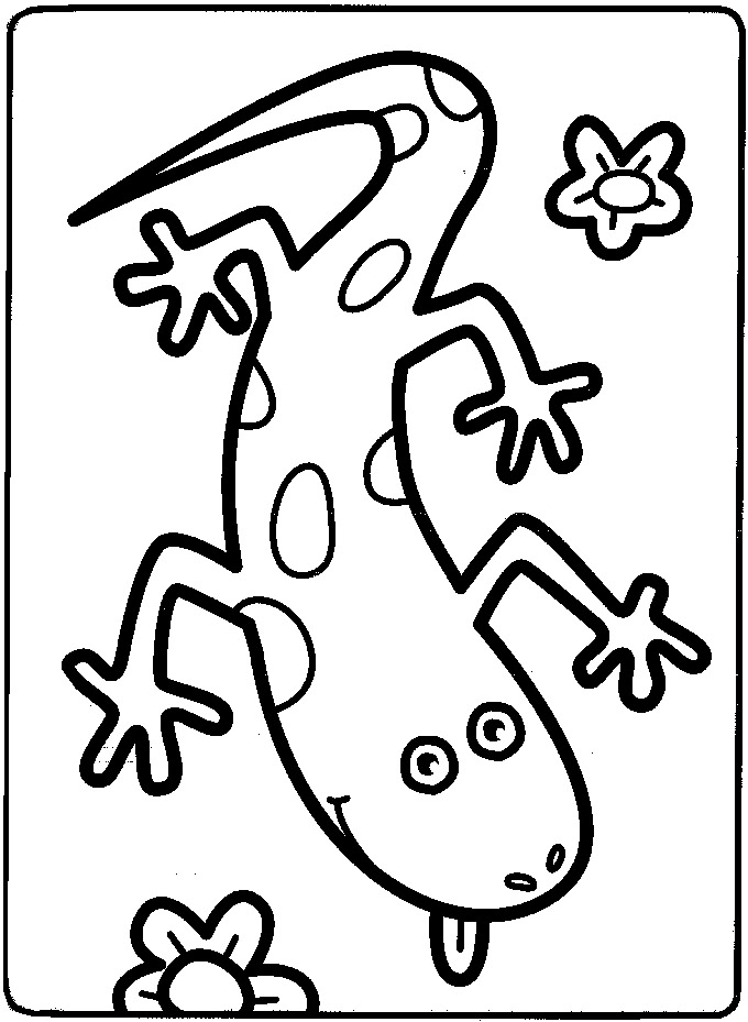 coloriage La petite salamandre