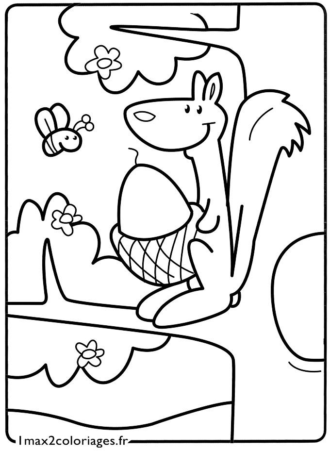 coloriage Le petit ecureuil sur sa branche