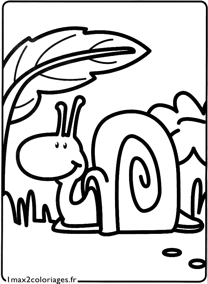 coloriage Un petit escargot se promène