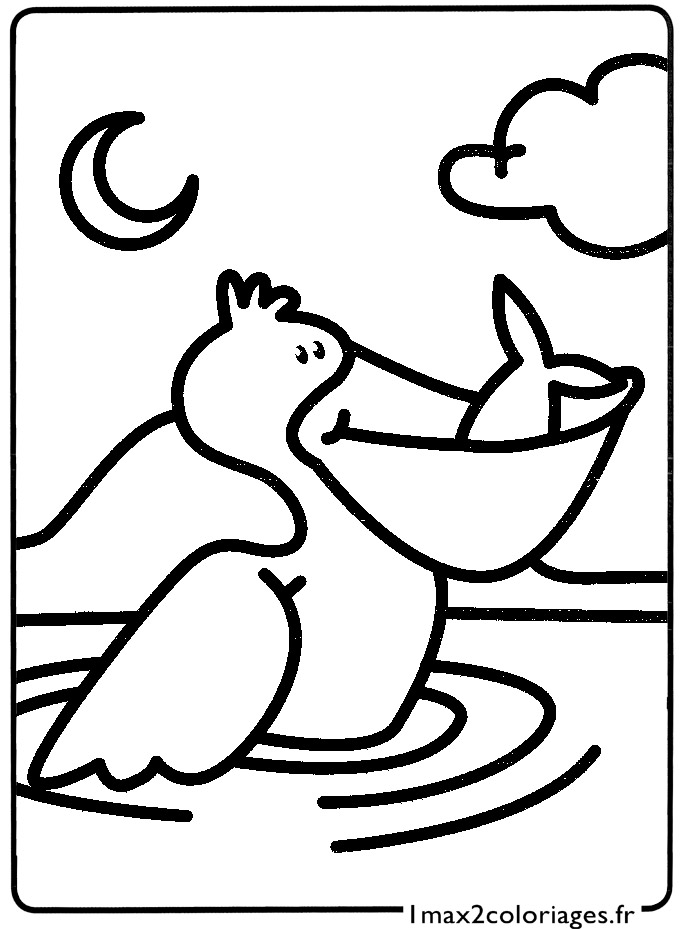 coloriage Le petit pelican