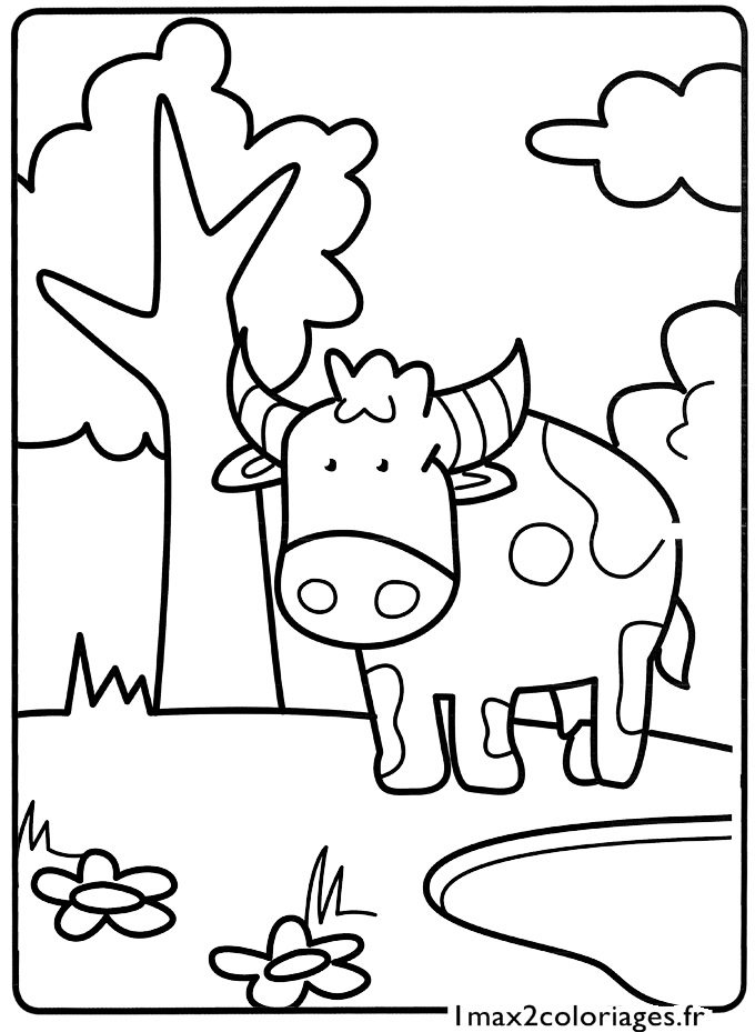 coloriage Le petit taureau