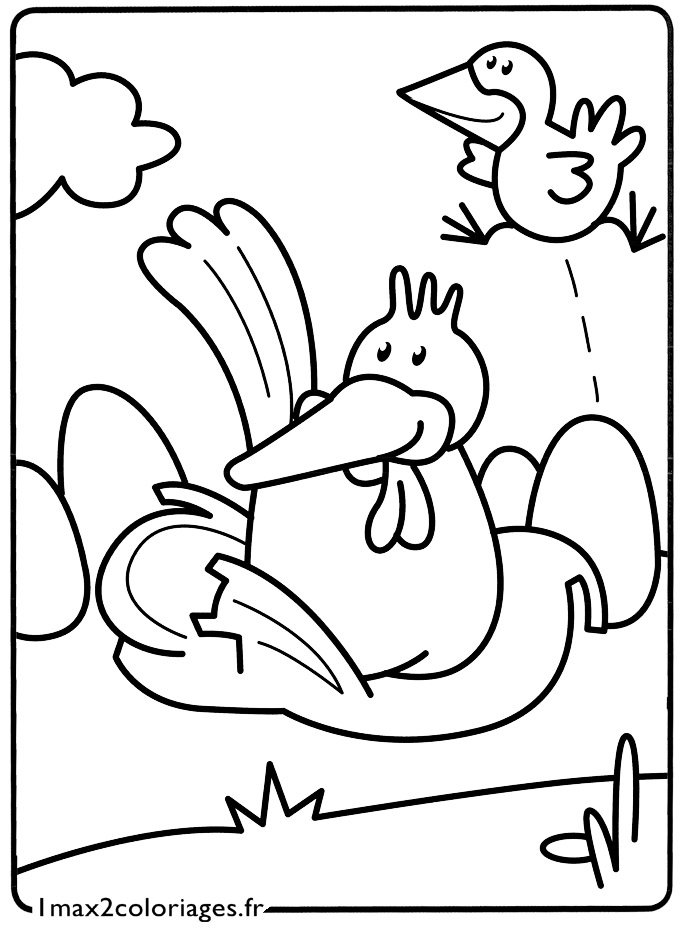 coloriage Les petites poules