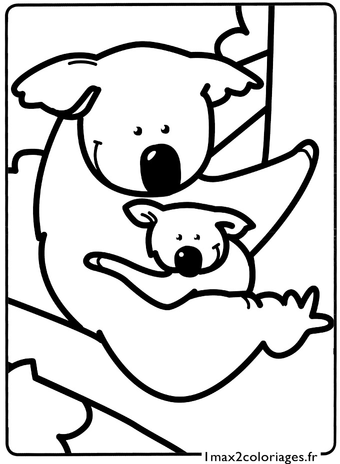 coloriage Les petits koalas