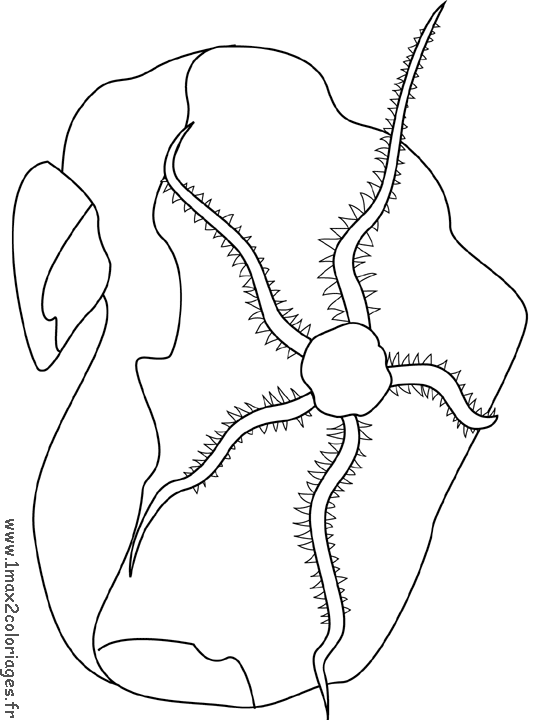 coloriage des oceans