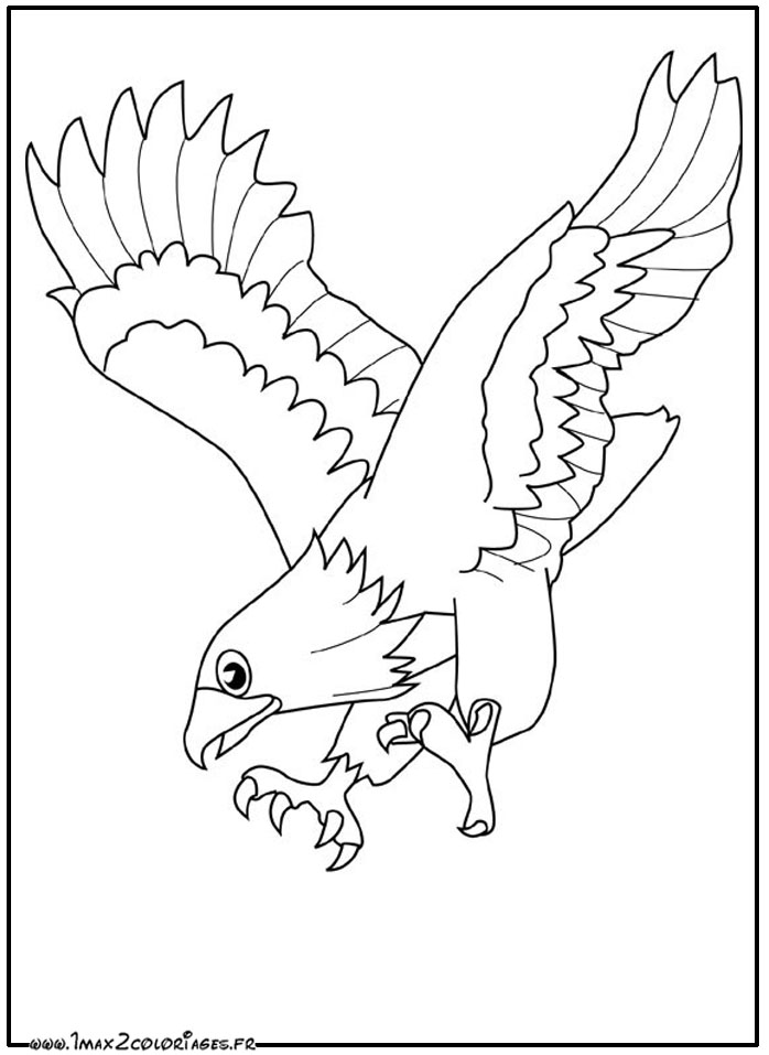 coloriage aigle