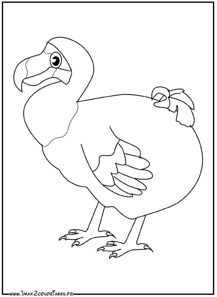 coloriage Dodo