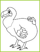 coloriage dodo