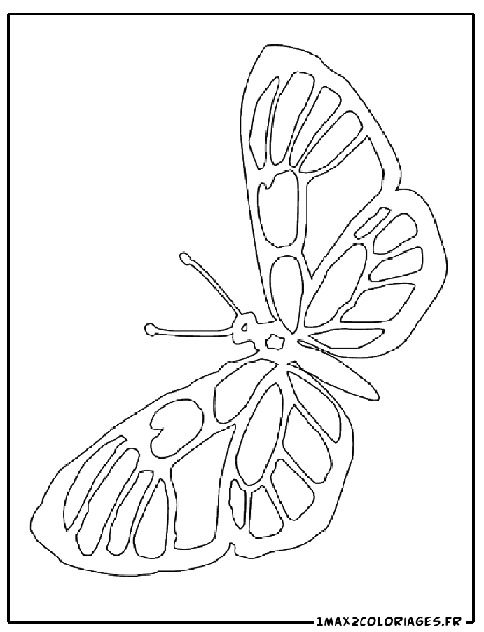 coloring butterfly