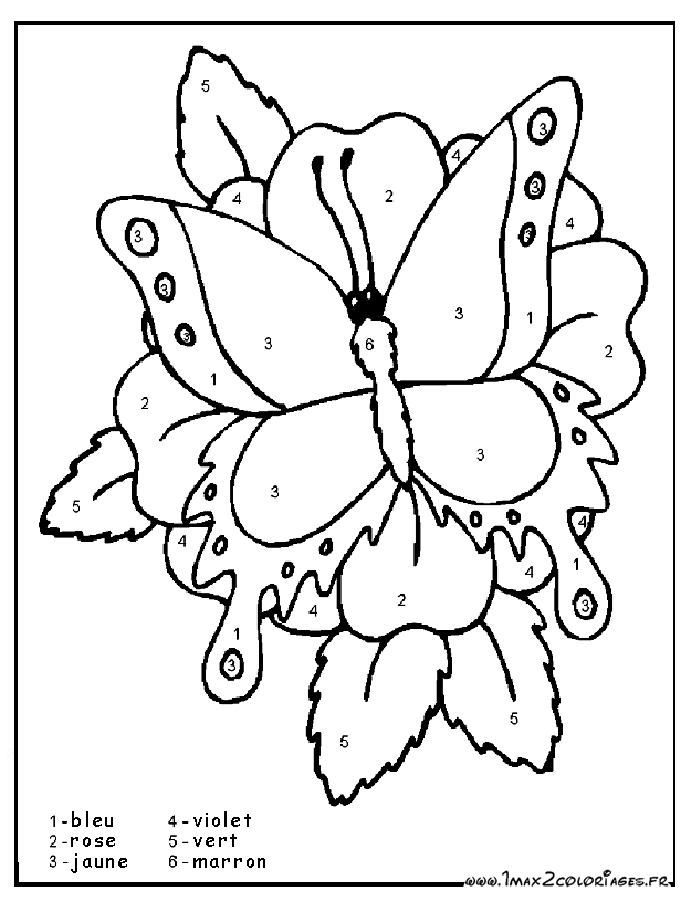 Coloriage de papillon par numéro