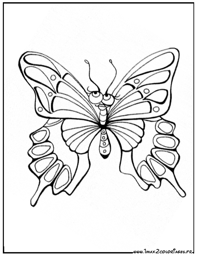 Le Papillon à Colorier