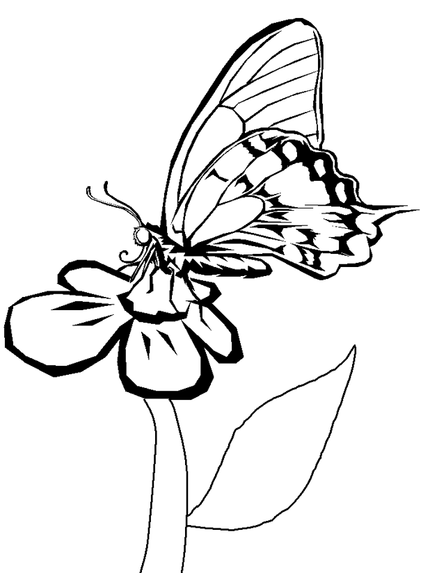 Coloriage Papillon sur une Fleur