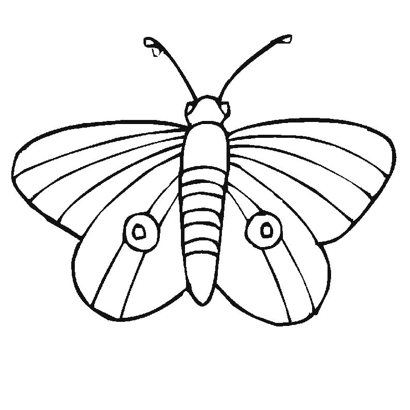 coloriage de Petit Papillon