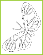 coloring butterfly