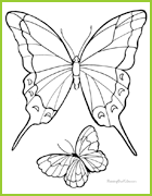 Les Papillons à Colorier