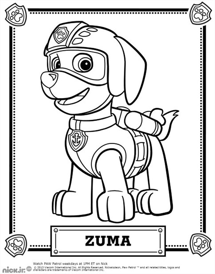 coloriage zuma pat patrouille