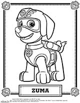 coloriage zuma