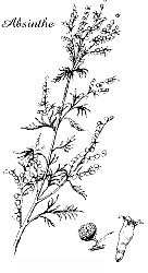 ajenjo