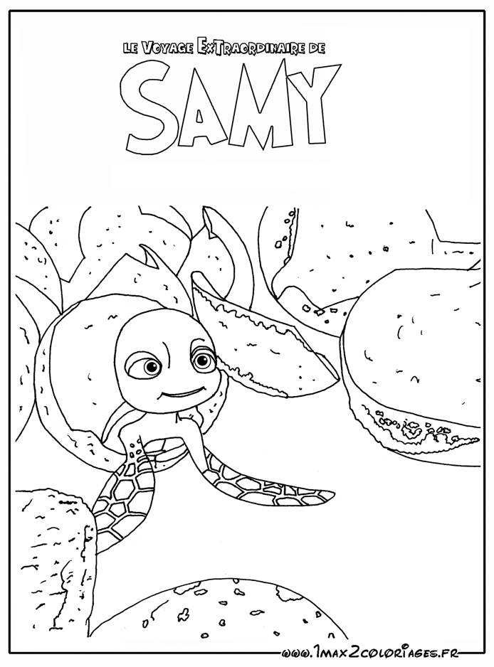 Le premier jour de Samy la tortue
