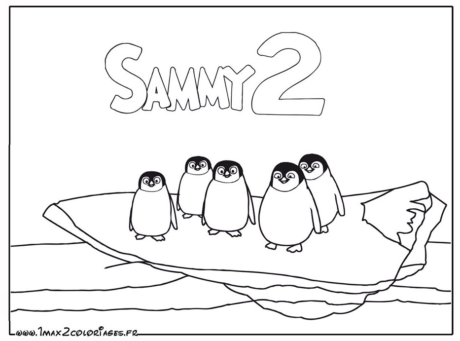 La famille de Pingouins serieux  du film sammy 2