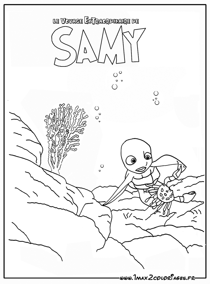 Samy la tortue se fait pincer par un crabe