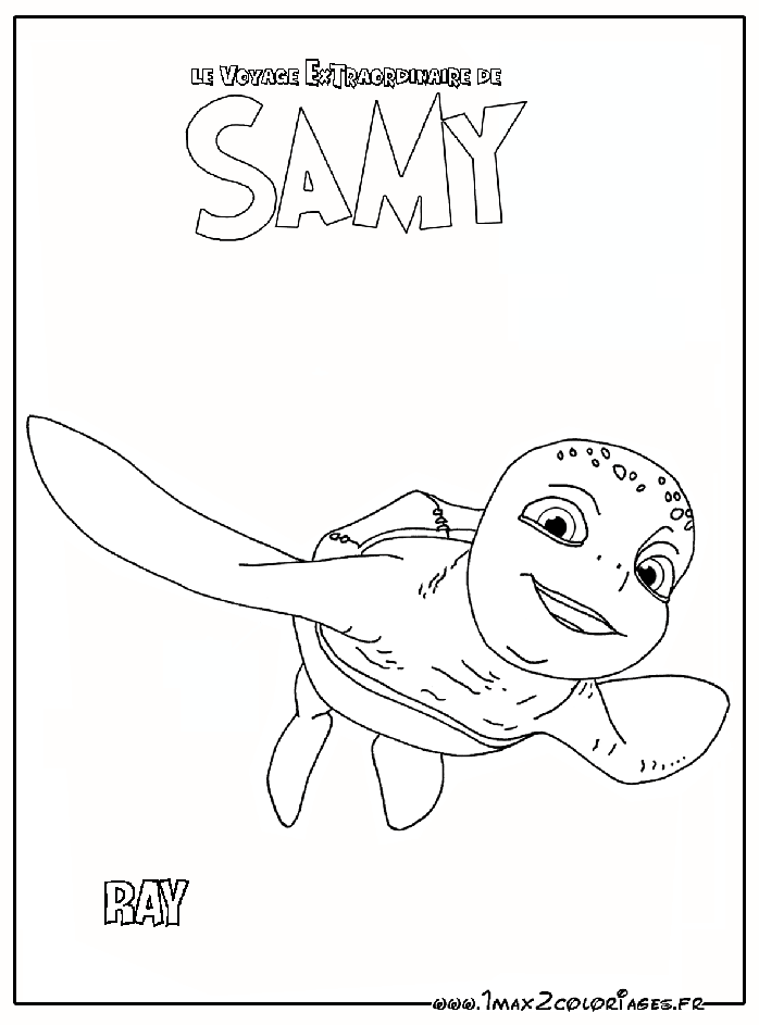 Ray l'ami de Samy la tortue