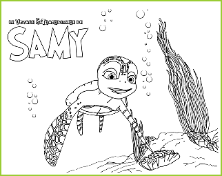 Samy la tortue découvre l'océan