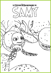 la naissance de samy la tortue