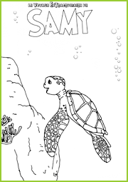 Samy la tortue se promène