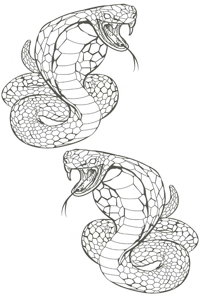 tatouage 2 cobras